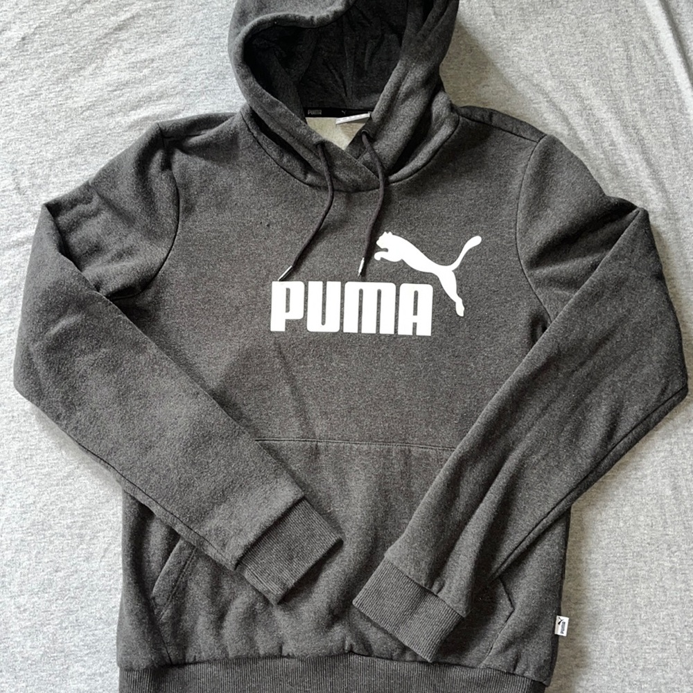 PUMA Hoodie Gray